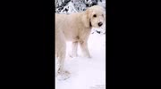 temp