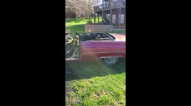 Rebel of the car on fire