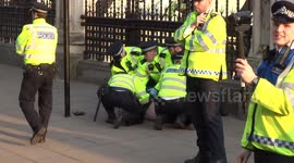Police wrestle man to ground outside houses of parliament during pro-Brexit protests