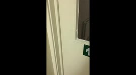 Laughing door