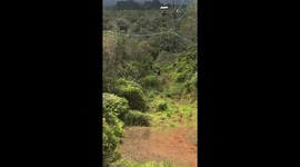 Zipline Emergency Rescue HILO Hawaii
