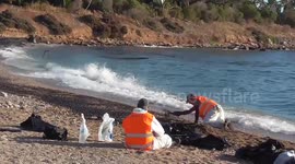 Tragic Oil Spill Greece Summer 2017 Ecological Disaster