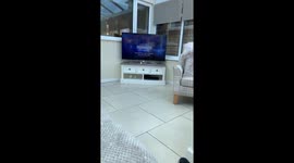 i’m crying liv’s dog just sits on the sofa like a human and watches tele with us https://t.co/GuMsOGfMMf