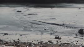 Tragic Oil Spill Greece Summer 2017 Ecological Disaster Day 2