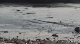 Tragic Oil Spill Greece Summer 2017 Ecological Disaster City Center (Uncut) Day 2