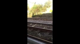 Holiday from Hell in  Carnoustie