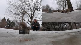 Squirrel steals GoPro and runs up a tree