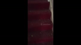 Builders totally destroyed my Home part 2