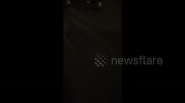 Organised pickpockets caught in action in London