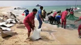 Outrage after Indian fishermen catch school of endangered stingrays
