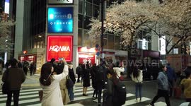 Walk Down This Beautiful Cherry Blossom Street In Tokyo