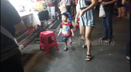 Crowds don’t bother this fancy dog