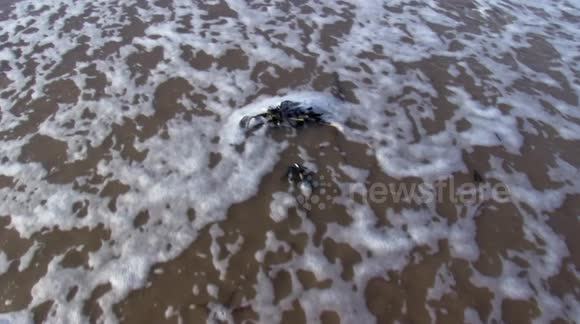 Plastic litter being removed from beach
