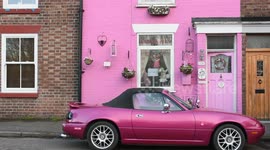 Wacky Sally Owen has brightened up her life by colouring all her possessions bright pink