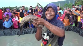 Women take part in bizarre fish bare-handed catching competitoon