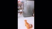 temp