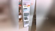temp