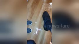 Newsflare Edit - Broken toilet creates a flood in home.