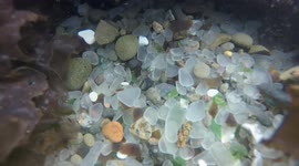 Exploring the underwater world on the beaches of California.