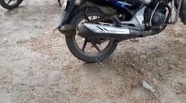 Man finds giant python inside motorcycle in northern India