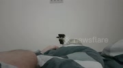 temp