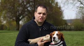 250,000 year old woolly rhino bone sniffed out by Beagle