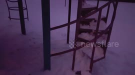 Sweetie The Jack Going Down a slide