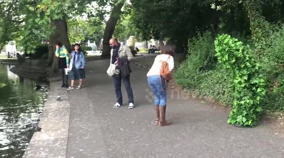 'Bushman' prank gets hilarious reactions from Irish public