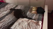 temp