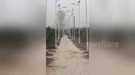 Chinese villagers install thousand street lights on rural road to scam government