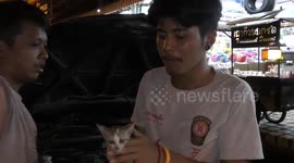 Kitten rescued after surviving being stuck in the engine of a moving car in Thailand