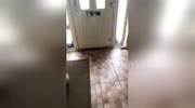 temp