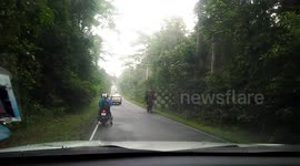 Driver Reverses When Elephant Blocks Road