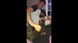 Cat attacks boy