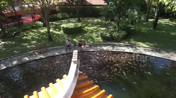 kids feeding fish in Suphanburi temple, Thailand