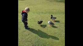 Toddler feeding himself instead of ducks