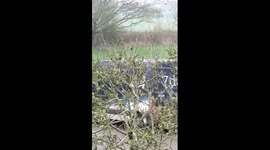 Britain's big cat epidemic has continued after a 'Labrador sized'' feline was filmed prowling - outside The Fox Inn