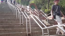 Clever monkey slides down railings as shortcut at Nepal temple