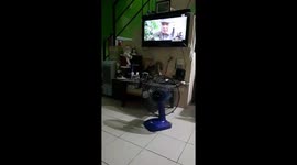 Doggy Gets Excited Watching Soap On TV