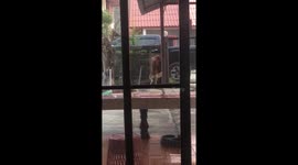 'Husky Houdini' makes slippery escape out owner's front fence