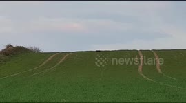 A woman and her son captured these images of a prowling big cat - thought to be the Beast of Cumbria - as they were out walking their dogs