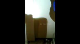 German Roaches infestation