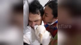 'Jealous' chihuahua competes for owner's attention