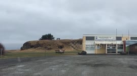 Reindeer on campground in Iceland