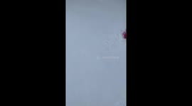 Small dog hilariously struggles to walk in Colorado snow