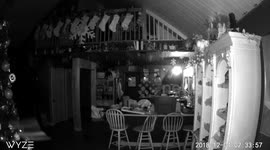 Strange anomaly captured on Wyze cam