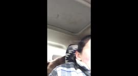 Husky hates driving on dirt roads