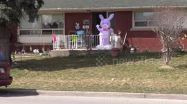 Easter bunny spotted on someone's front porch in Toronto Canada