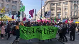 Extinction Rebellion Protest in London