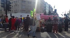 Flamboyant Costumes Displayed at Climate March Protest